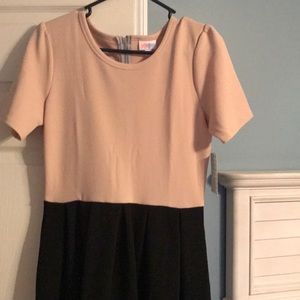 Nwt lularoe Amelia size medium.